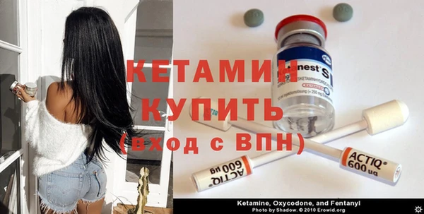 гашик Пестово