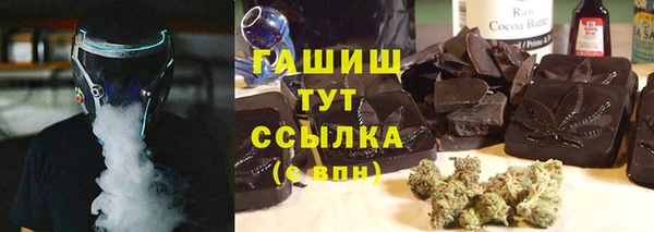 гашик Пестово