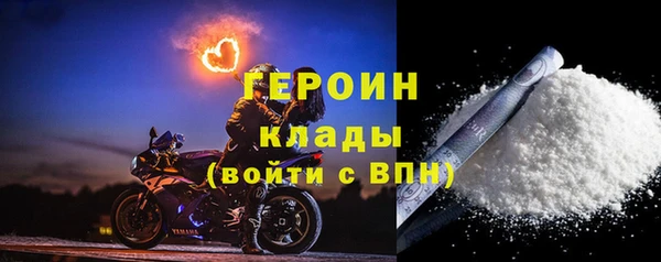 прущие грибы Пересвет