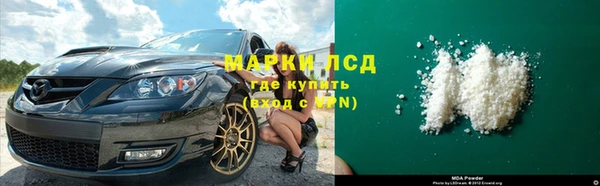 прущие грибы Пересвет