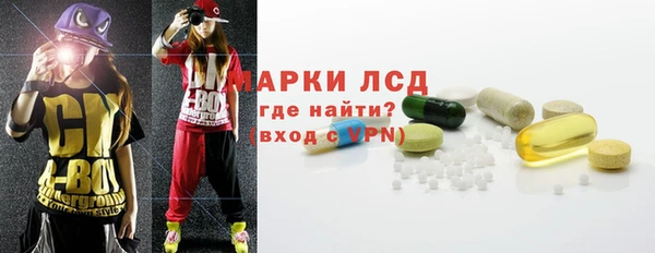 гашик Пестово