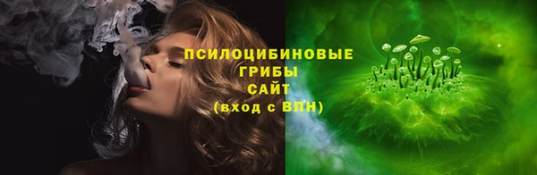 гашик Пестово