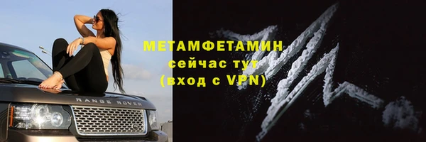 прущие грибы Пересвет