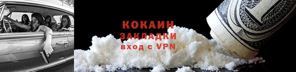гашик Пестово
