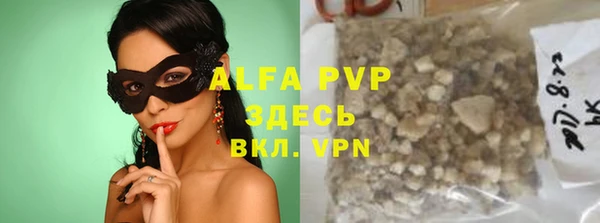 гашик Пестово