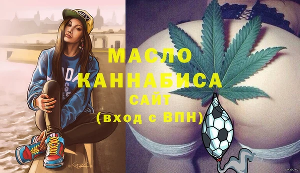 гашик Пестово