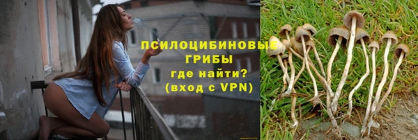прущие грибы Пересвет