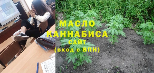 гашик Пестово