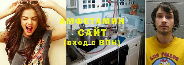 прущие грибы Пересвет
