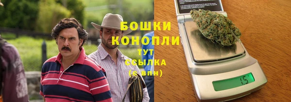 прущие грибы Пересвет